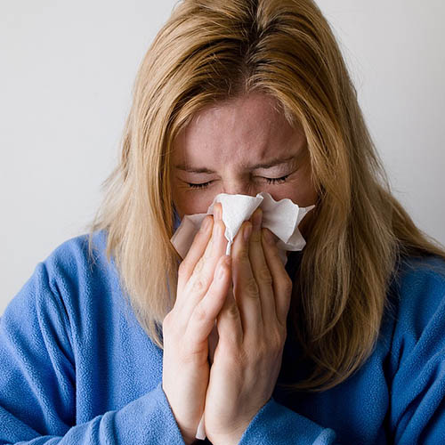 Vue interieure de la Pharmacie du Plain Champ